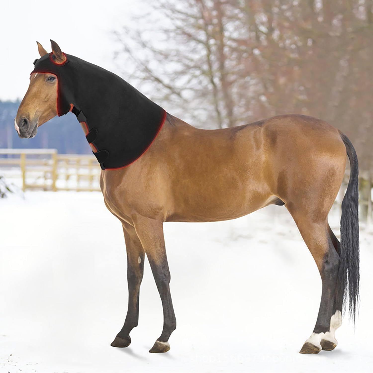 Attrezzatura per La Terapia della Luce Rossa del Cavallo, per Il Rilassamento della Testa E del Collo del Cavallo, con 234 Perline per Lampade a LED, Lunghezza D'onda 660nm E 850nm