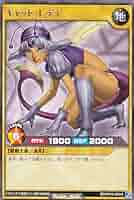 PSA キャットレディ　遊戯王 Yu gi oh PSA10 キャット・レディ PSA キャットレディ 遊戯王 Yu gi oh PSA10 キャット・レディ