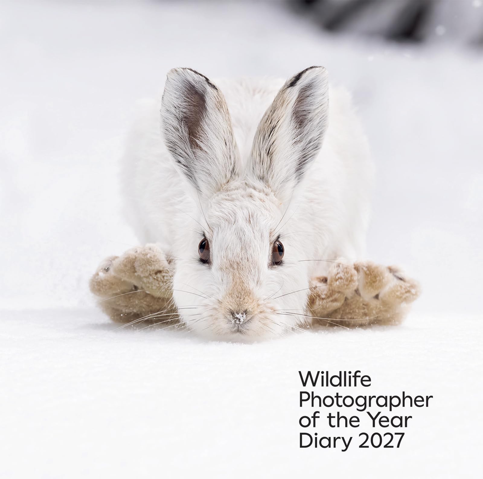 Wildlife Photographer of the Year: Diary 2027