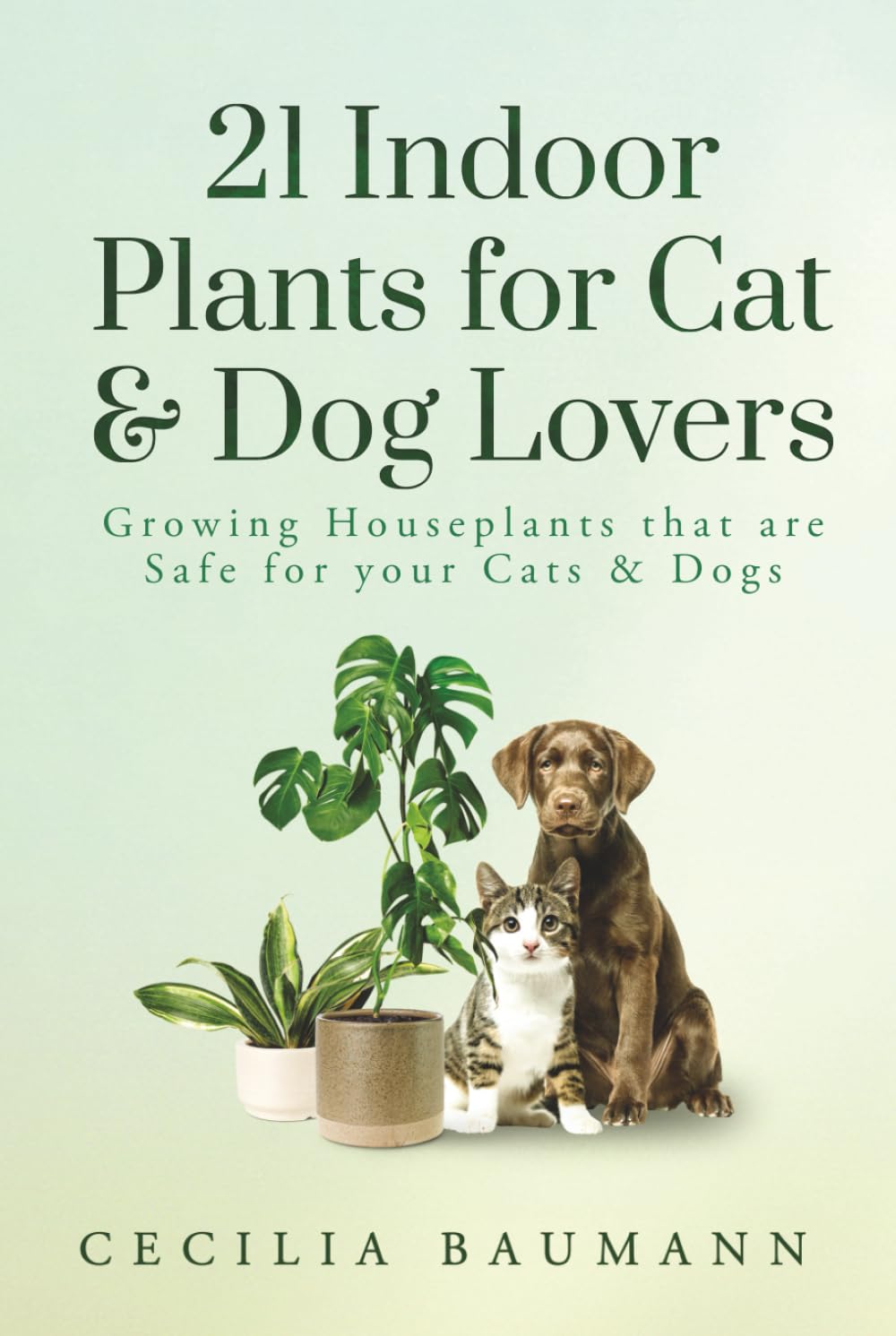 21 Indoor Plants for Cat & Dog Lovers: Growing Houseplants that are Safe for your Cats & Dogs