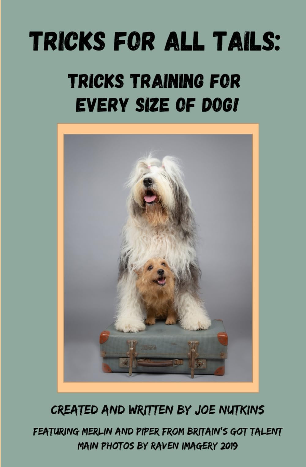 Tricks For All Tails: Tricks Training for every size of dog!: Trick Dog Training guidance for Small, Medium and Large Dogs (Tricks for Treats: Tricks Training for all Dogs)