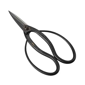 盆栽鋏 黒色 18000円 Amazon.co.jp: 高儀(Takagi) 菊堂 盆栽鋏 鋼付 180mm 鉢物 整枝