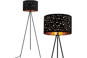 BoostArea Star Floor Lamp