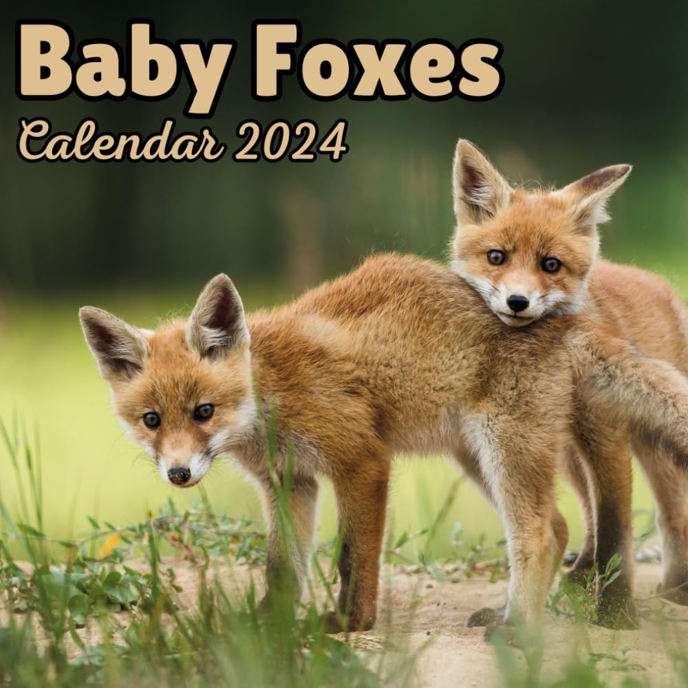 Baby Foxes Calendar 2024: 16 Months , Organizer From September 2023 to December 2024 ,For Foxes lovers , Men , Women , Girls , Boys