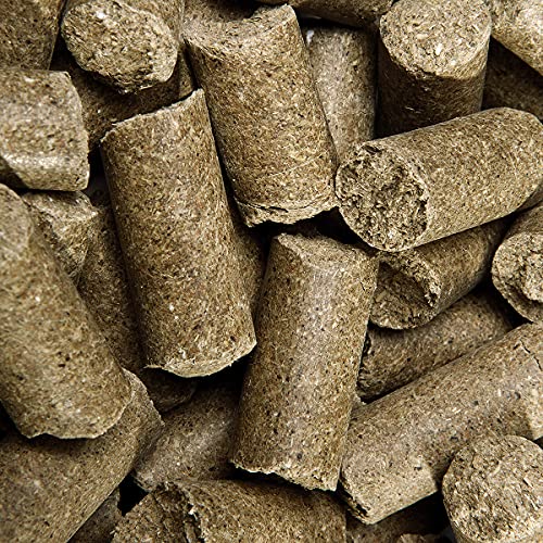 Speed Delicious speedies Pure Apple, Pferdeleckerli mit Apfelgeschmack, getreidefrei, Beste Zutaten, einfach praktisch (1 kg)