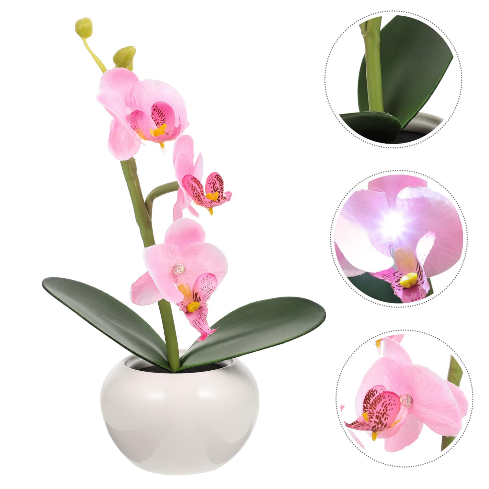 Zerodeko Luce LED Fiore in Vaso Rosa, Design Phalaenopsis, Ceramica | Riutilizzabile, Decorazione per Casa e Piazza Comunitaria, Forma Floreale Simulata
