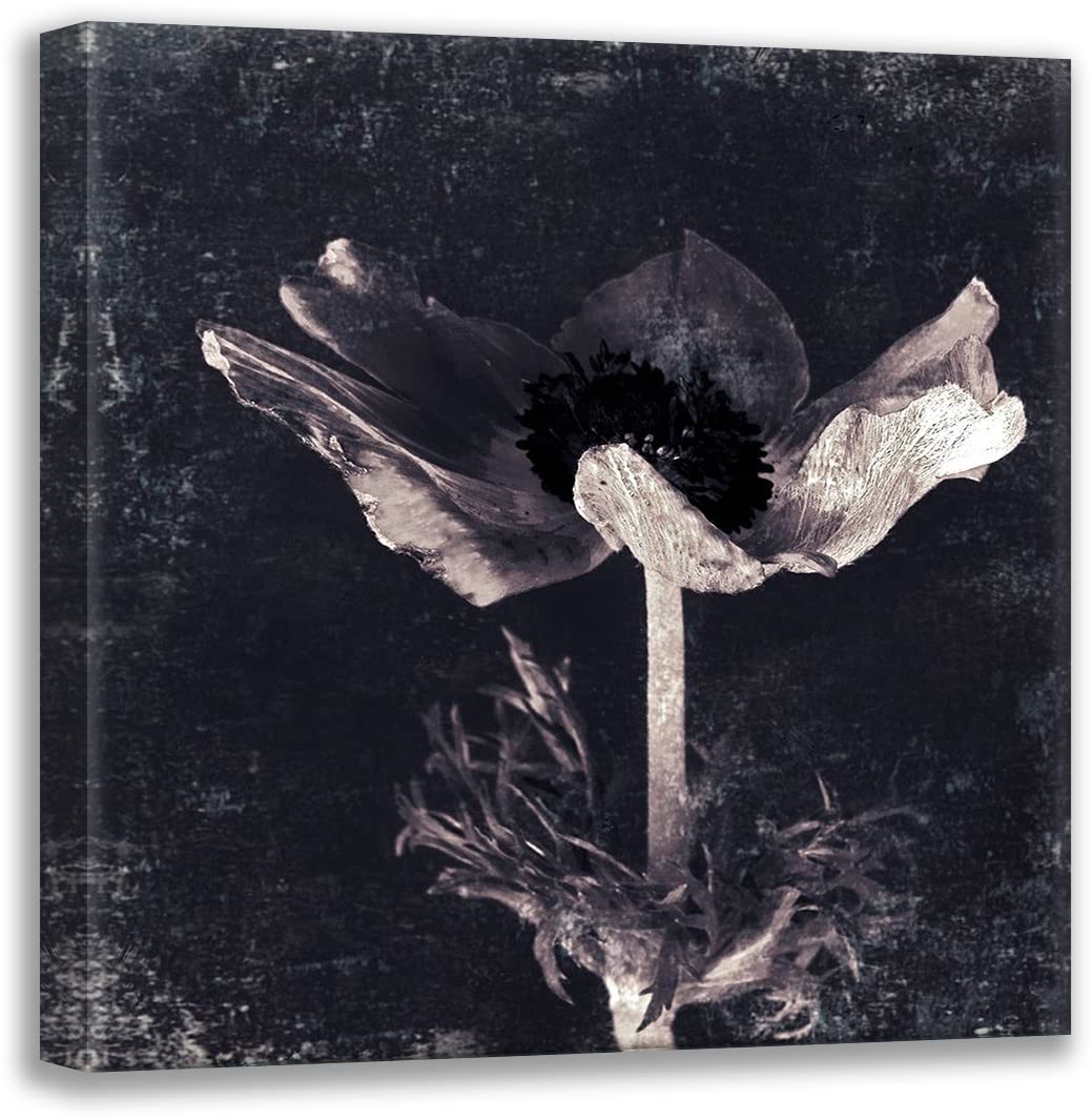 ArtDirect Aurora Blooms I 36x36 Huge Gallery Wrapped Canvas Museum Art by Aryai, Sia