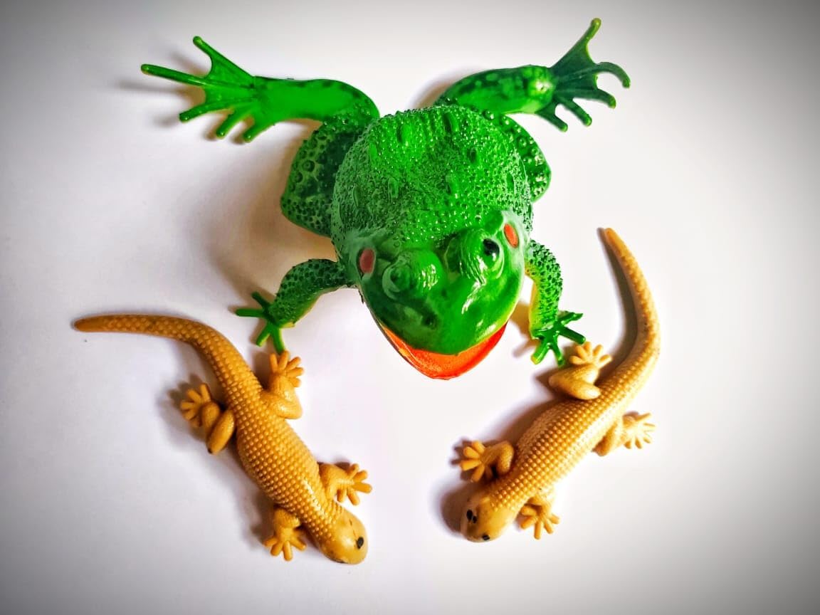Sv Entertainment Fake Frog & Lizard Figure Toy House Gecko Rubber Practical Jokes And Prank Trick Toys Pack - 3 Years And Up