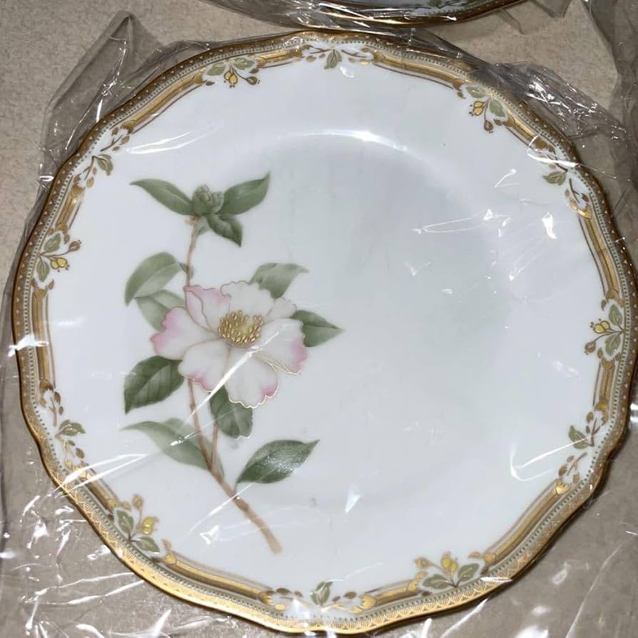 Amazon.co.jp: ノリタケ ガラコンテッサ パーティーセット 6枚