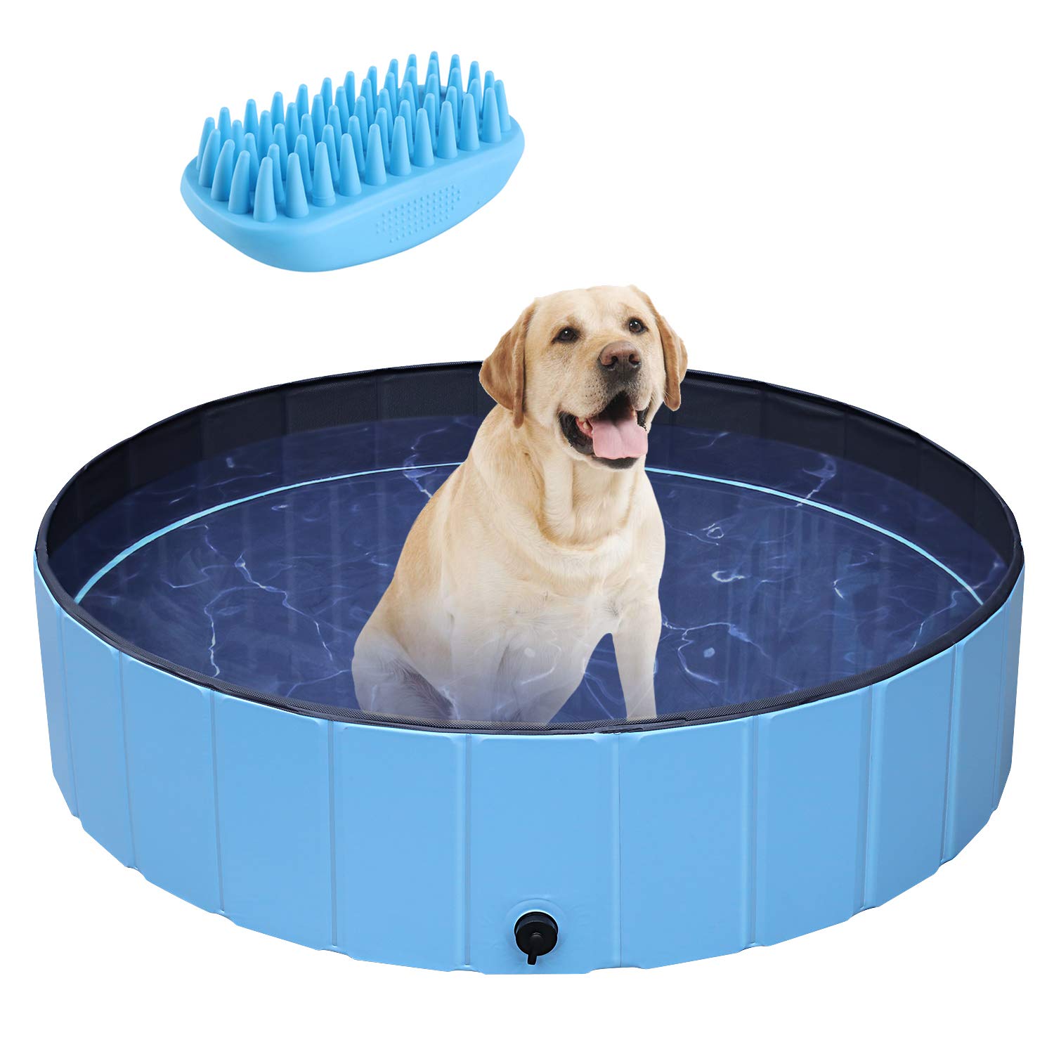 indoor swimming for dogs
