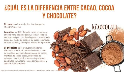 Ki'Xocoltl - Barra de chocolate con leche con cacahuetes horneados y sal marina de Quintana Roo (2 unidades)