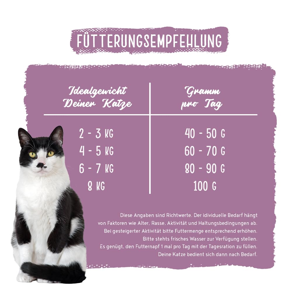Chicopee Classic Nature Line | Senior Best Age | Katzenfutter trocken | Frisches Geflügel | Für ältere Katzen | Vitamine, Selen, Zink | Inspiriert von der Natur Kanadas | 15 kg