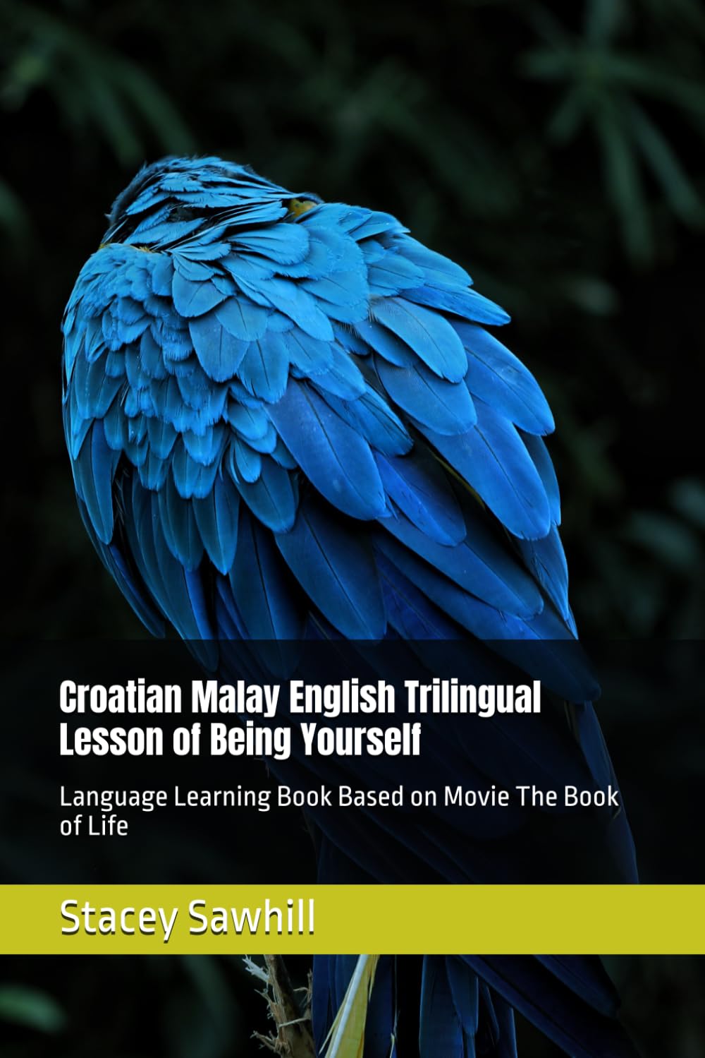 Croatian Malay English Trilingual Lesson of Being Yourself: Language Learning Book Based on Movie The Book of Life