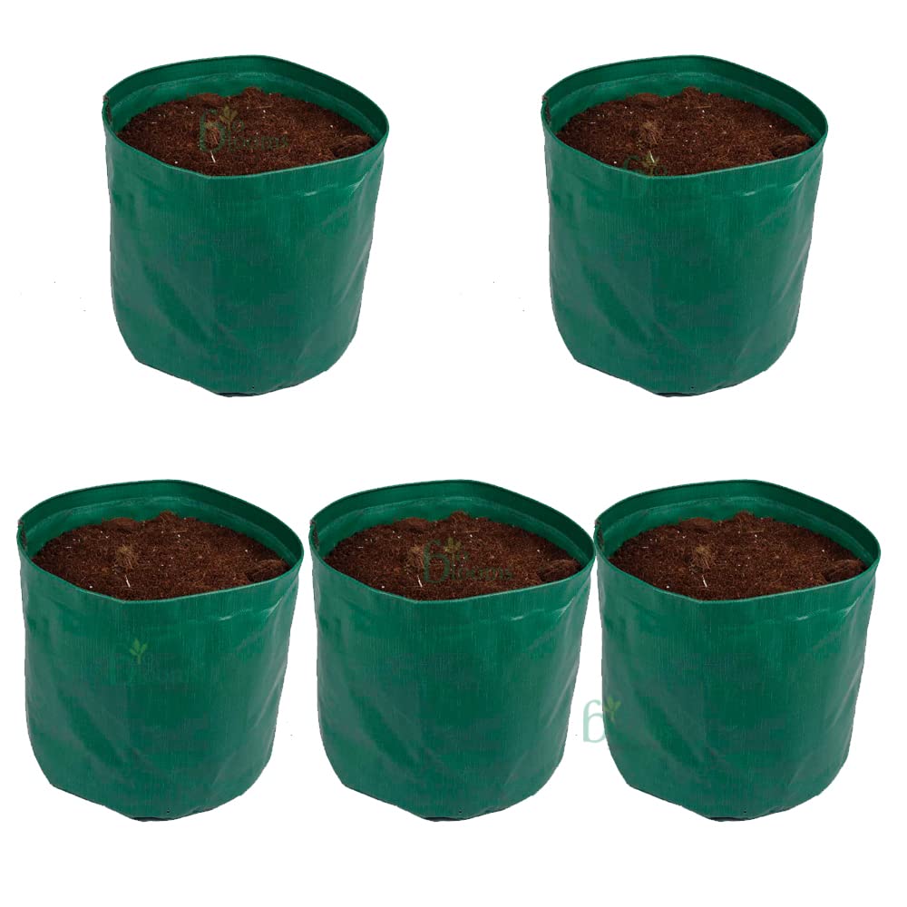 Bio Blooms Agro India Pvt. Ltd.15X15Inch HDPE Plant Grow Bags for Terrace Gardening | Pack of 5| Dark Green Color| Outdoor Use|340 GSM (B08P2SP7D4) Amazon Price History, Amazon Price Tracker