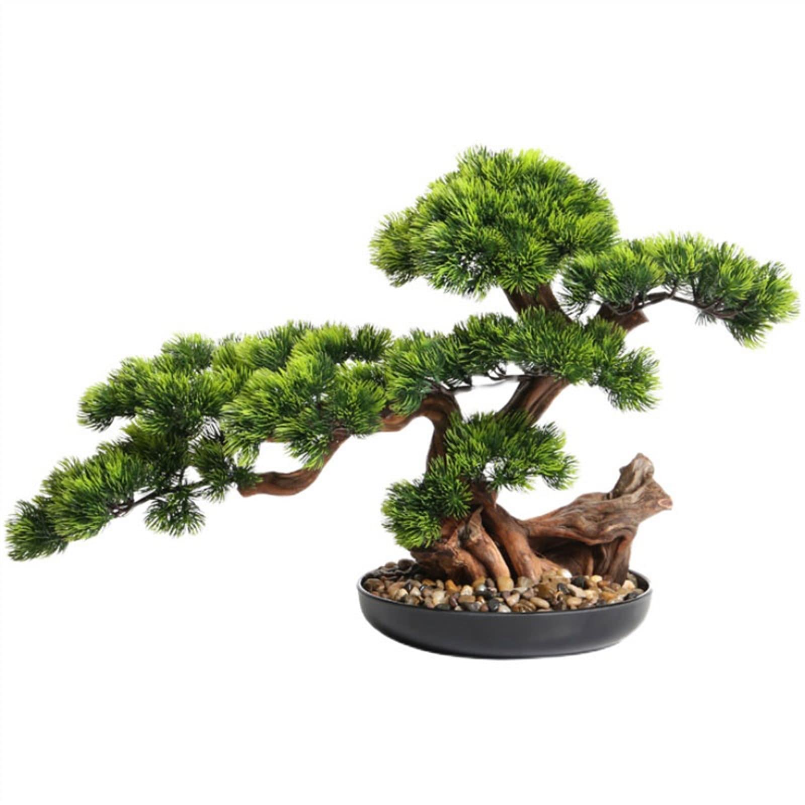 DFGHNBVC Artificial Plants Display Tree Artificial Plants Fake Bonsai Pine Trees Plants Greenery Pine Bonsai Tree Desktop Display,Office,Living Room,Zen Garden Indoor Decoration Book Shel