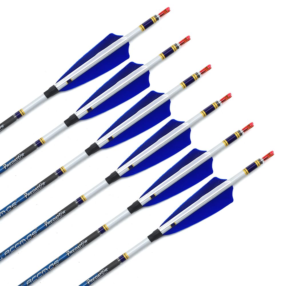 6pc 25-Inch 700-Spine Arrow Removable Tips Targeting Hunting Arrow 4" Turkey Feather Feathered Carbon Arrows for Traditional Bow Long-Bow Recurve Bow Compound Bow Adult Youth Archery Blue A28