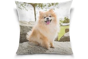 Smiling Pomeranian Throw Pillow