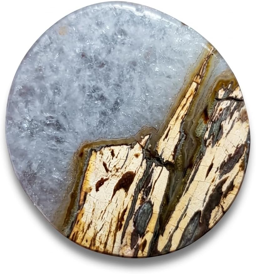 Druzy Petrified Wood: Colorful Agatized Collectible Stone, Turkey