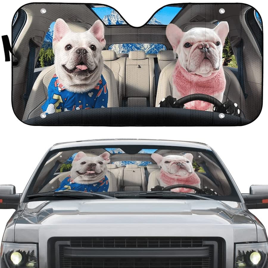 Protection pare-soleils intérieur universelle pour garder votre auto au frais l'été