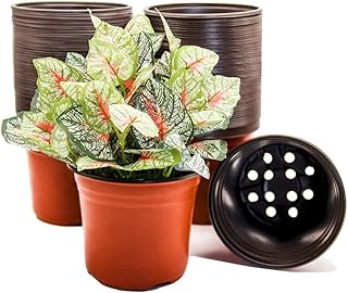 Sponsored Ad - HECTOLIFE 100 Pcs 6 Inch Plant Nursery Pots,Plastic Seedling Pots,Seed Starting Pot Flower Plant Container ...