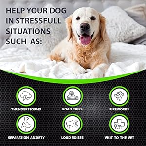 Hemp Calming Chews for Dogs with Anxiety and Stress – 170 Dog Calming Treats – Storms, Barking, Separation – Valerian Root – Melatonin – Hemp Oil – Dog Anxiety Relief – Made in USA | Soft Chews