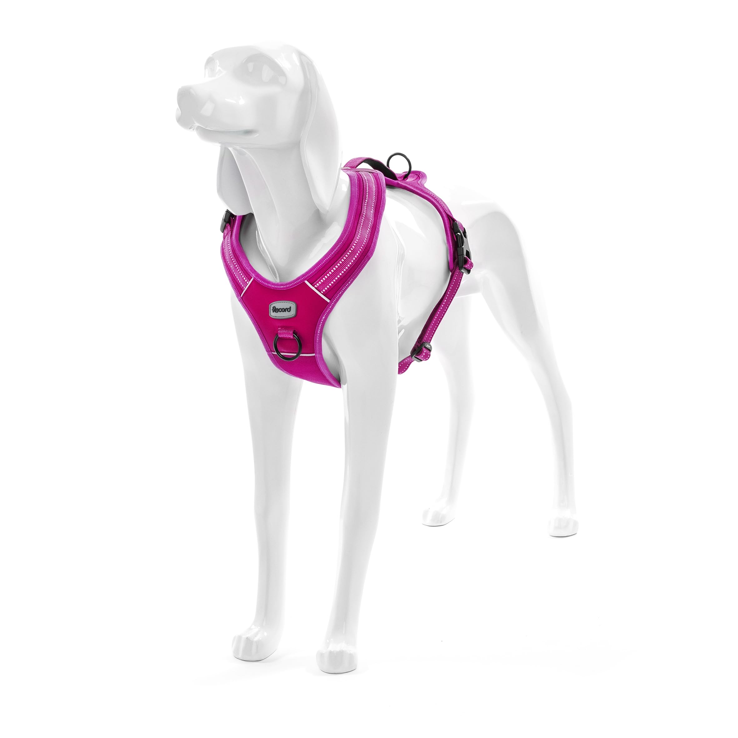 Record - Harnais pour chien Action Alpes - Couleur Fuchsia - Taille XL - Matière : Nylon Tressé avec Bandes Réfléchissantes 3M ScotchLite - Circonférence 90-125 cm