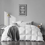APSMILE Queen Taille plumes vers le bas conforter - Ultra Doucement toutes saisons 100% Pois de coton biologique Descente Douve Insert Lit chaud moyen Conforteur avec onglets d'angle (90x90,Blanc-ivoire)