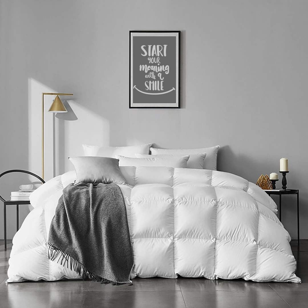 APSMILE Lightweight Feather Down Comforter Twin Size - Ultra Soft 100% Organic Cotton Quilted Duvet Insert, Thin Bedding Comforter for Warm Weather/