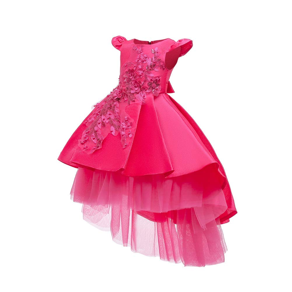 Flower Girl Vintage Embroidery High-Low Lace Floral Dress for Kids Princess Birthday Wedding Bridesmaid Evening Formal Pageant A Line Birthday Party Maxi Ball Gown Dresses Hot Pink 2-3 Years