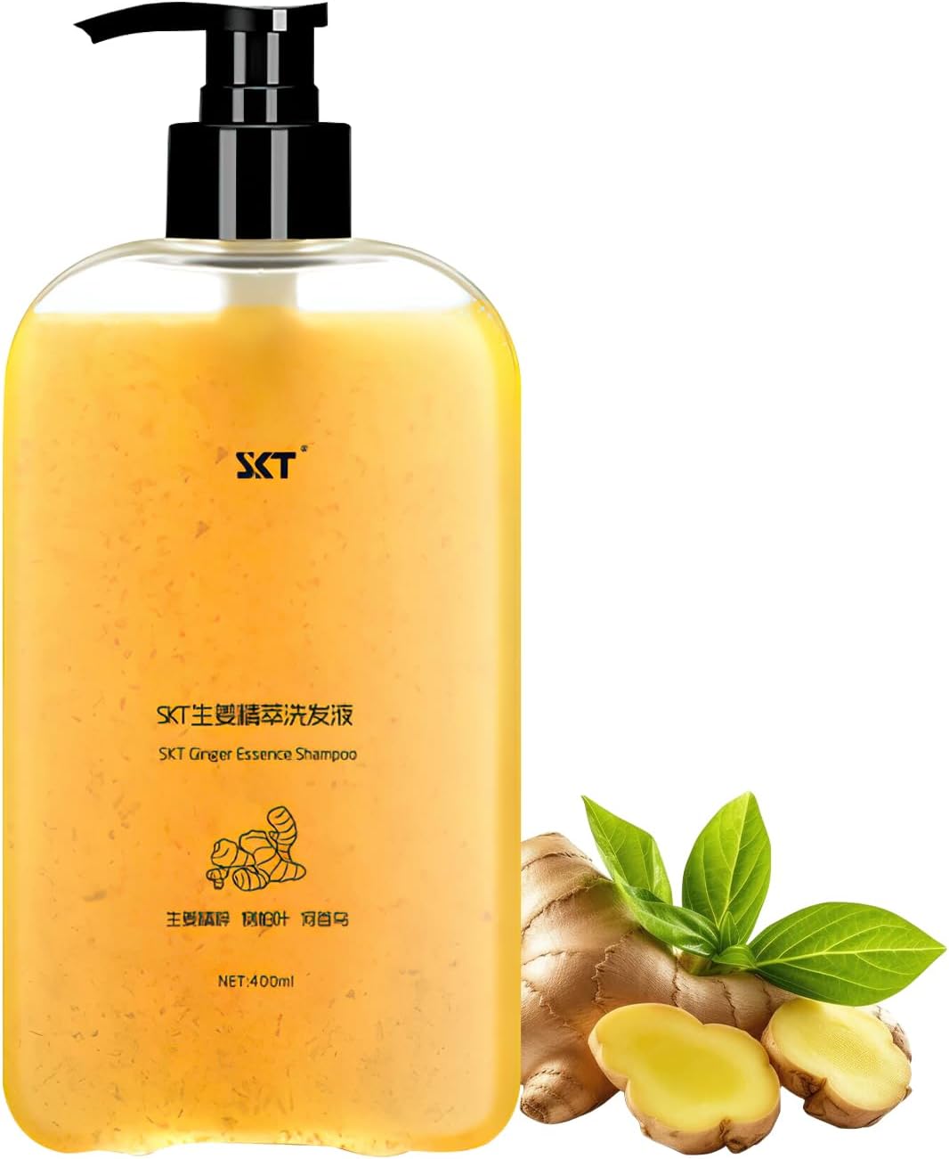 Ginger Plant Extract Anti Hair Loss Shampoo for Hair Regrowth, Thickening and Longer Hair - For Women & Men (400ML)