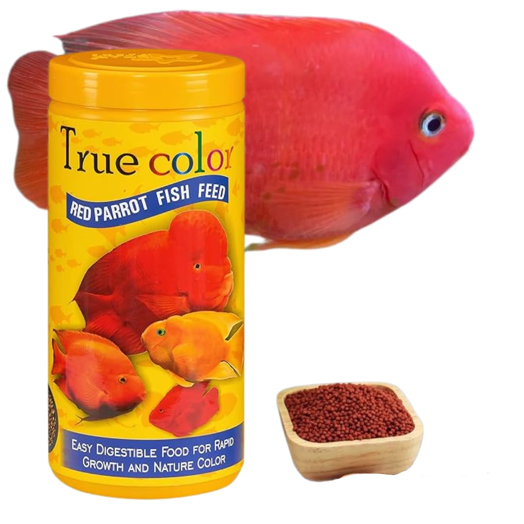 True Color Red Parrot Fish Food for Rapid Growth and Natural Color for All Life Stages Red Parrot (100 Gram) (B0D5RGQQ11) Amazon Price History, Amazon Price Tracker