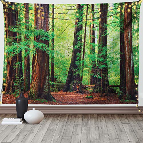 Ambesonne Woodland Decor Tapestry, Redwood Trees Northwest Rain Forest Tropic Scenic Wild Nature Lush Branch, Wall Hanging for Bedroom Living Room Dorm, 60 W X 40 L Inches, Green and Brown