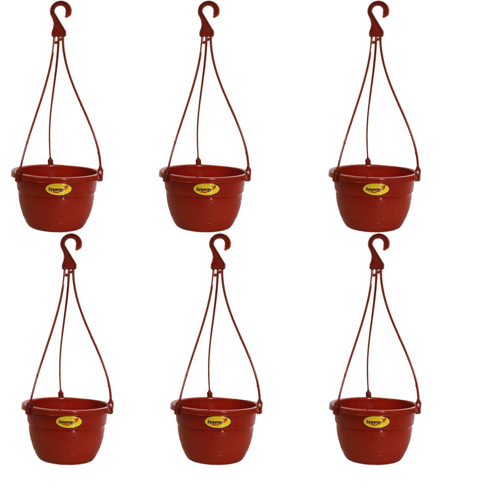 See full amazon price history chart for Synergy Plast Heavy Duty Plastic Hanging Flower Pot Set of 6 (Brown) Synergy Plast Heavy Duty Plastic Hanging Flower Pot Set of 6 (Brown) (B07R1MHQZF) Amazon Price History, Amazon Price Tracker