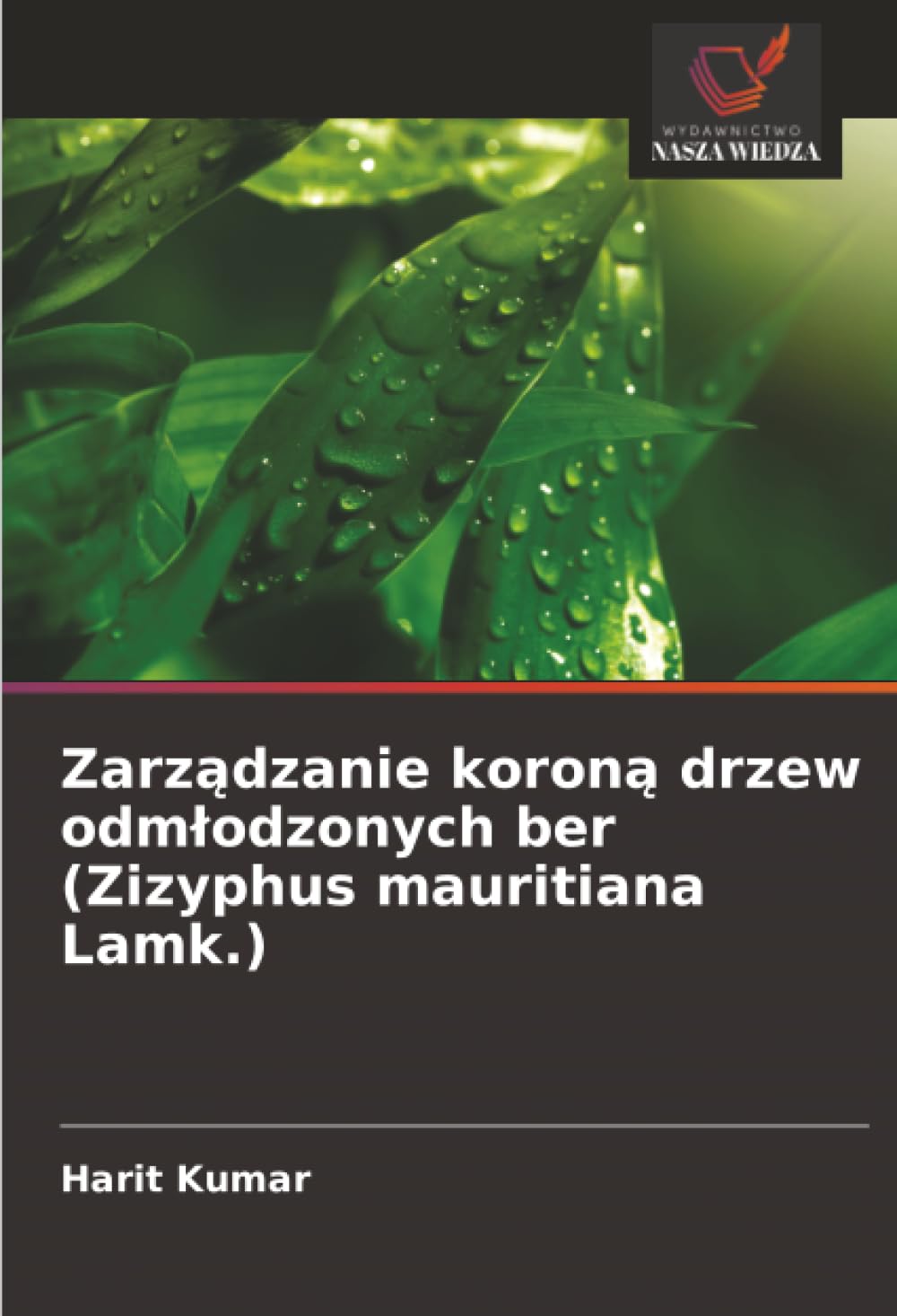 Zarządzanie koroną drzew odmłodzonych ber (Zizyphus mauritiana Lamk.)