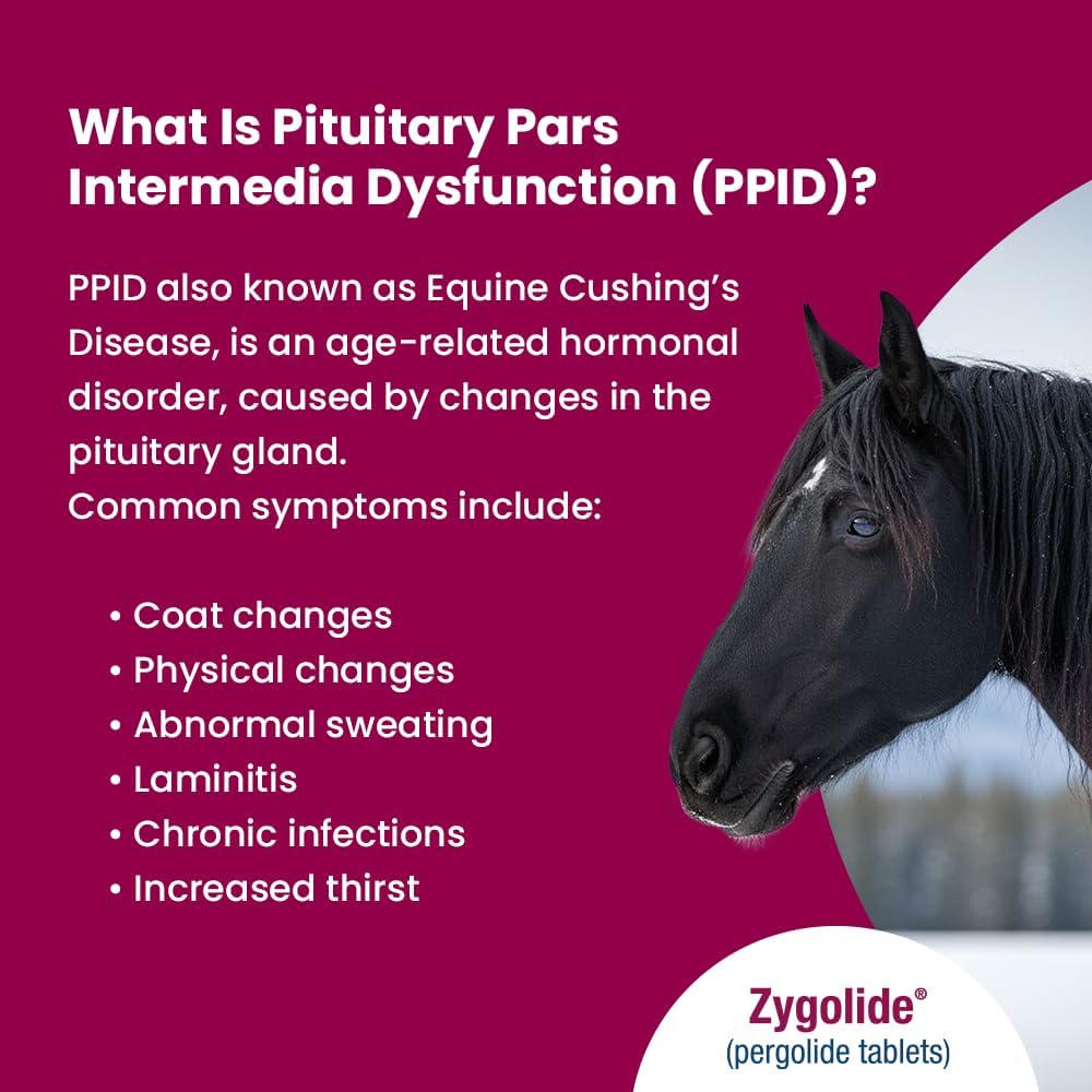 (pergolide Tablets) Tablets for Horses - 1mg, 60ct