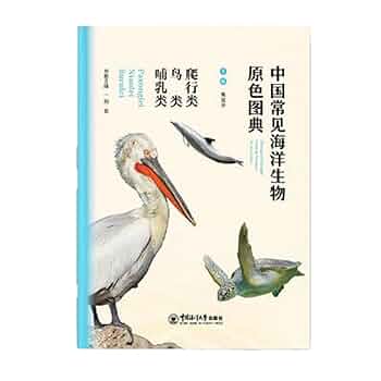 Amazon.com: 鸟类爬行类哺乳类/中国常见海洋生物原色图典