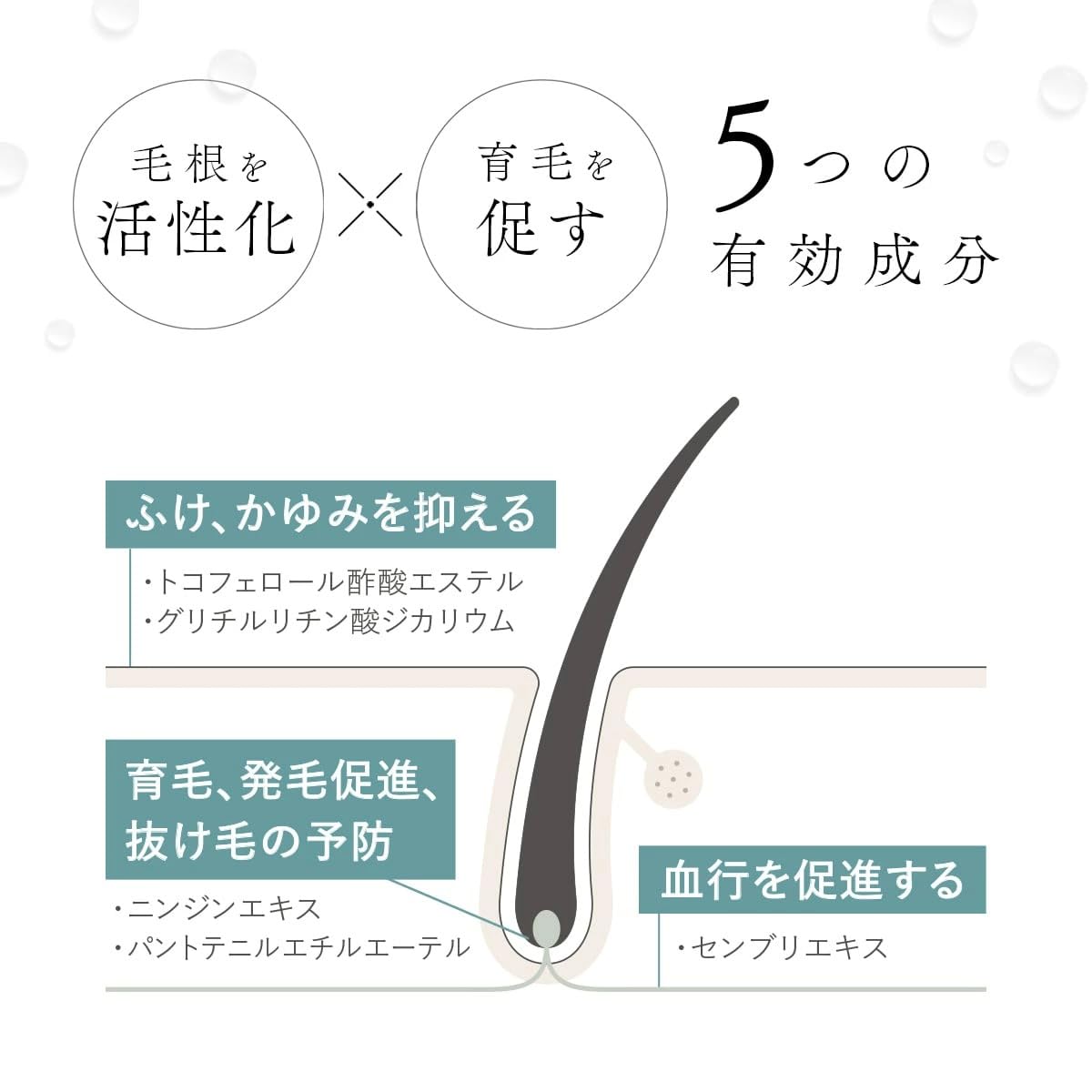 Amazon | AKNIR アクニー ヘアスカルプセラム + スカルプブラシ セット