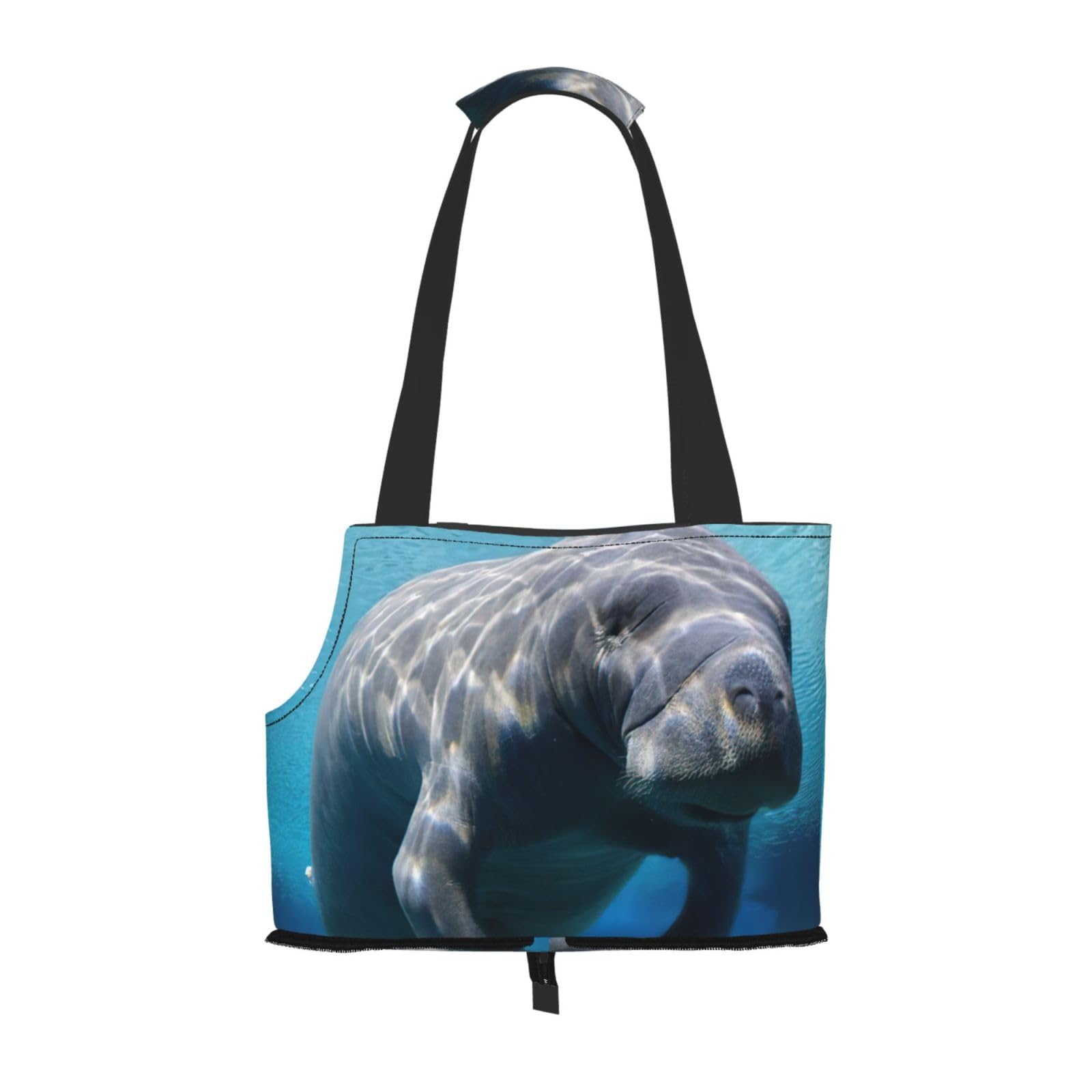 Sac de transport respirant et mignon pour animaux de compagnie