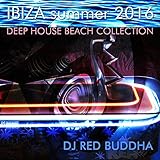 surfing buddha ipa  Night Flight Ibiza (Clouds Surfing)