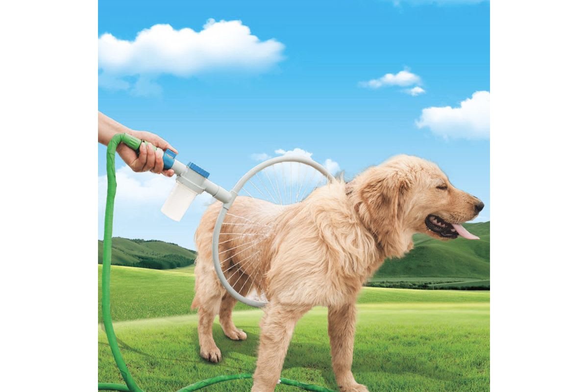 handheld dog washer