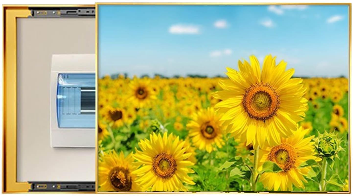 Living Room Distribution Box Hanging Picture Sliding Type Wall Mounted Electrical Panel Cover Suitable for Entrance Halls (B,55x45cm)