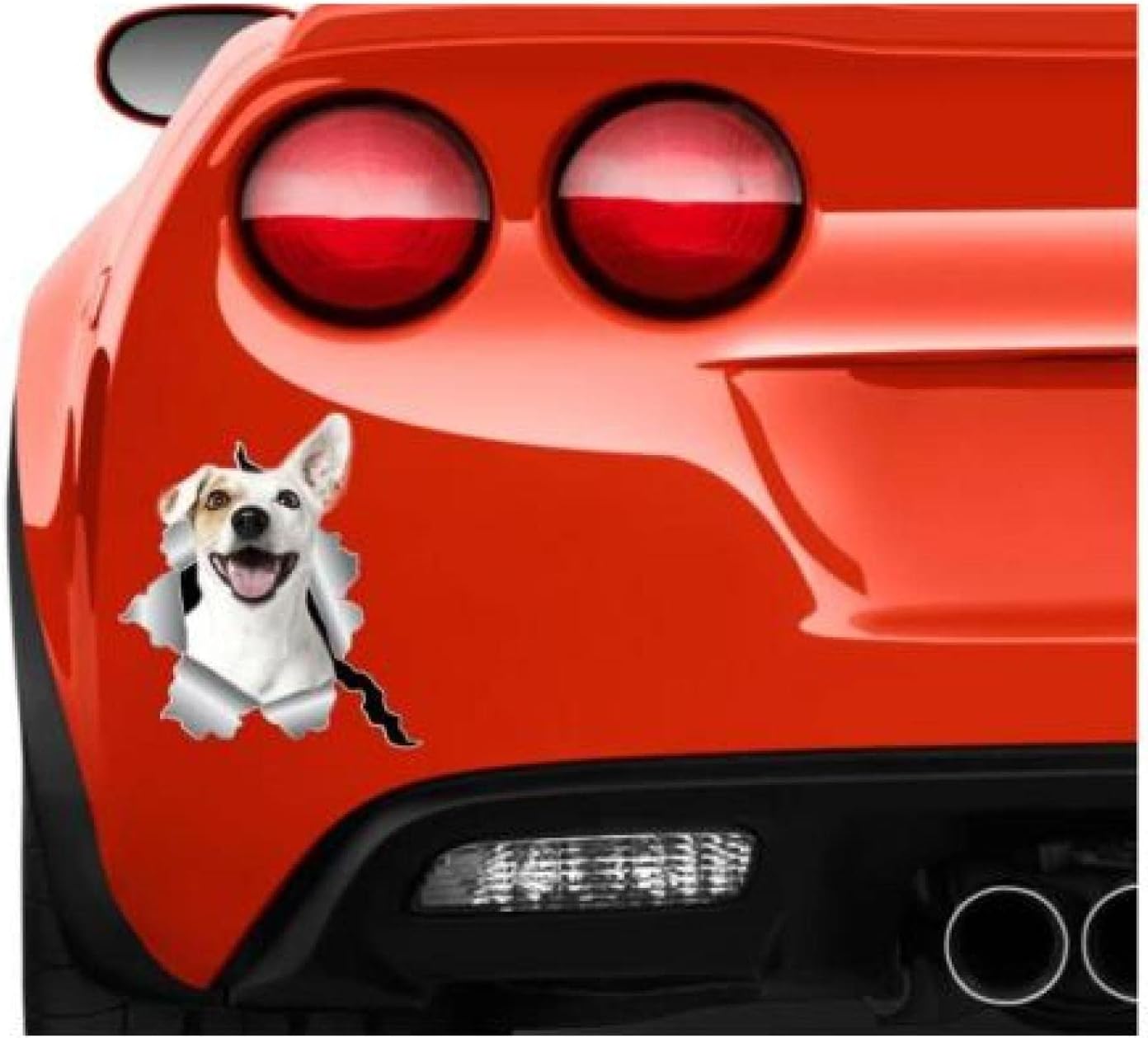 13周年記念イベントが 犬 車 ステッカー ジャックラッセルテリア In Car 選べる2種 イン カー 乗ってます リア サイドガラス かわいい 家族 Shipsctc Org