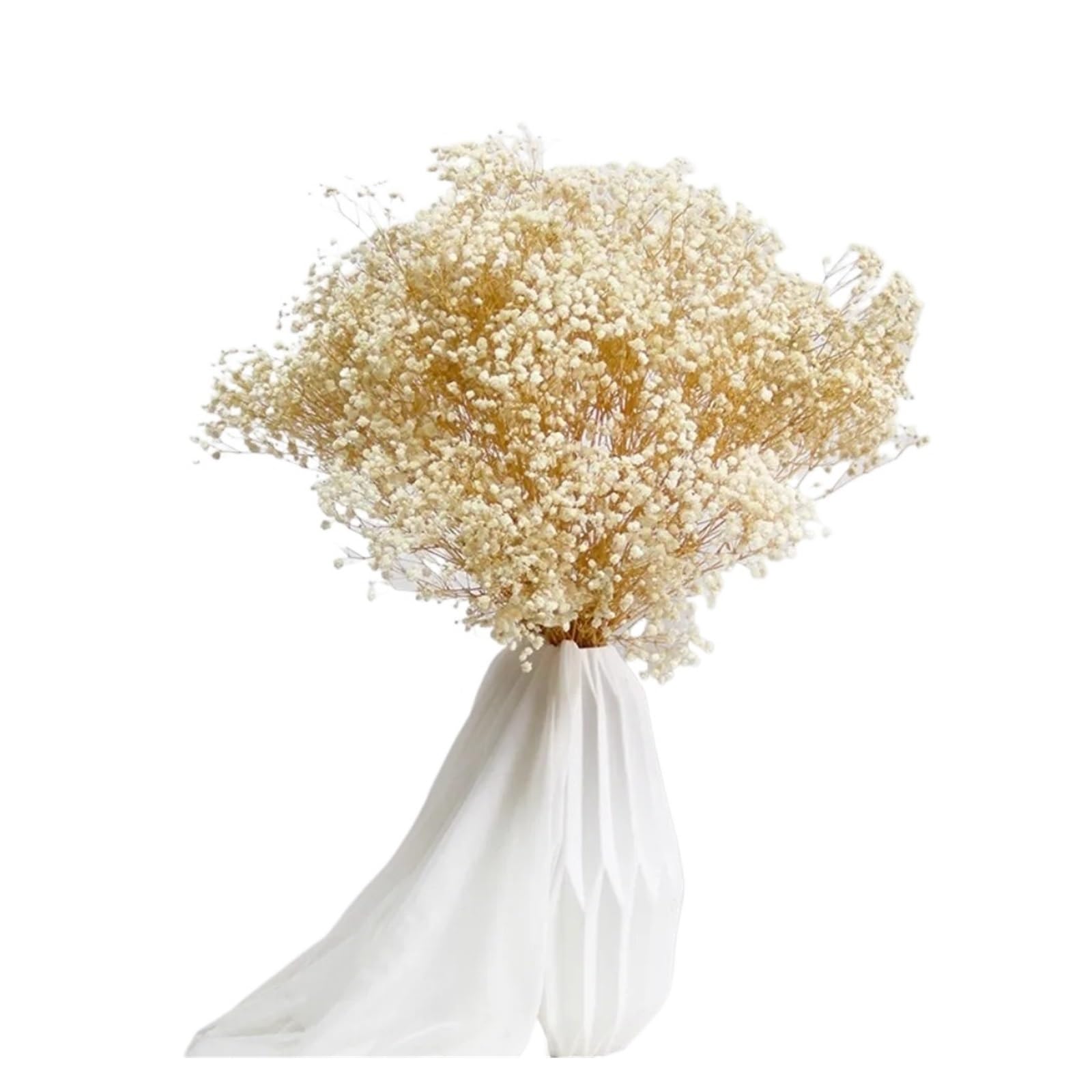 WJIAYAO dried gypsophila flowers 100g Dried Flowers Baby Breath Preserved Gypsophila Bouquet Home Decor Colorful Gypsophile Wedding Party Decoration(Beige,60g)