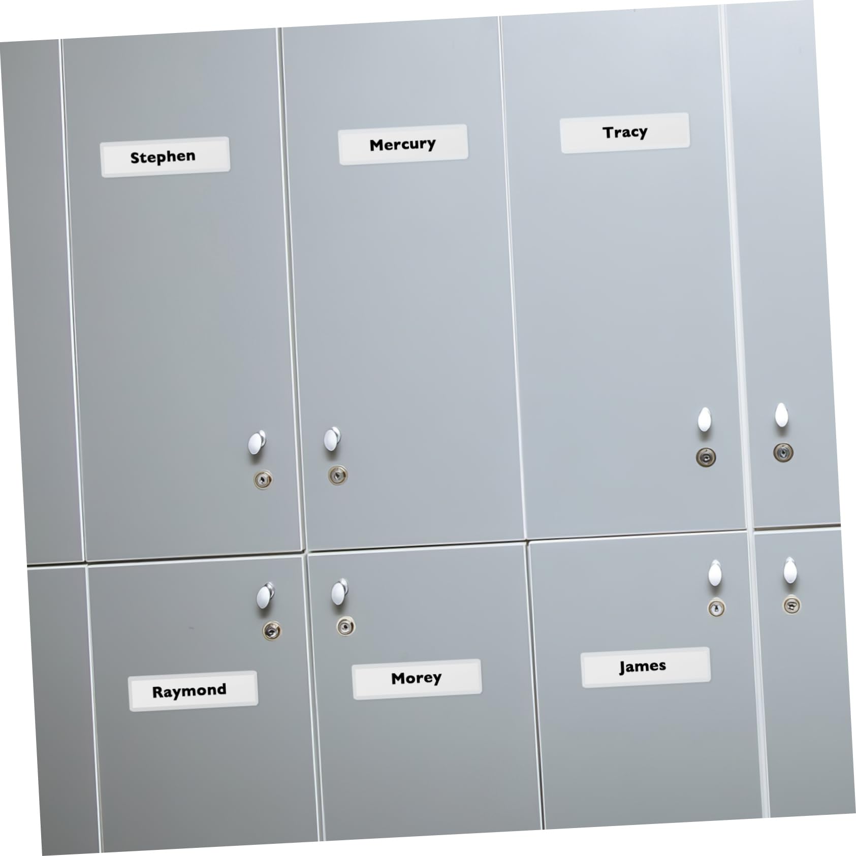 TEHAUX 3sätze Selbstklebende Etikettenhalter Mit Papier-einsätzen Transparent Für Archivierung Und Organisation Und Ordnern