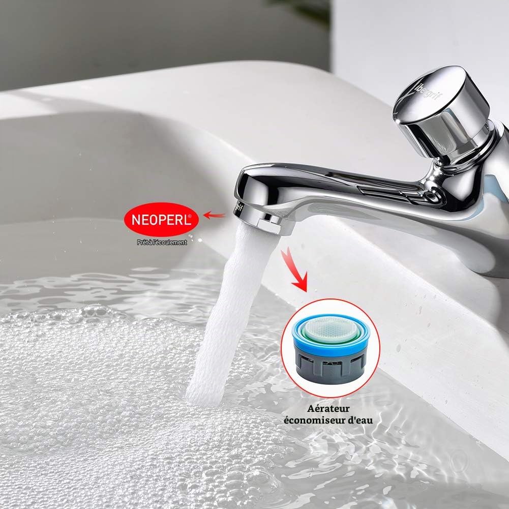 Ibergrif M21901 Robinet WC Temporisé Chromé, Fermeture Automatique 4–6 s