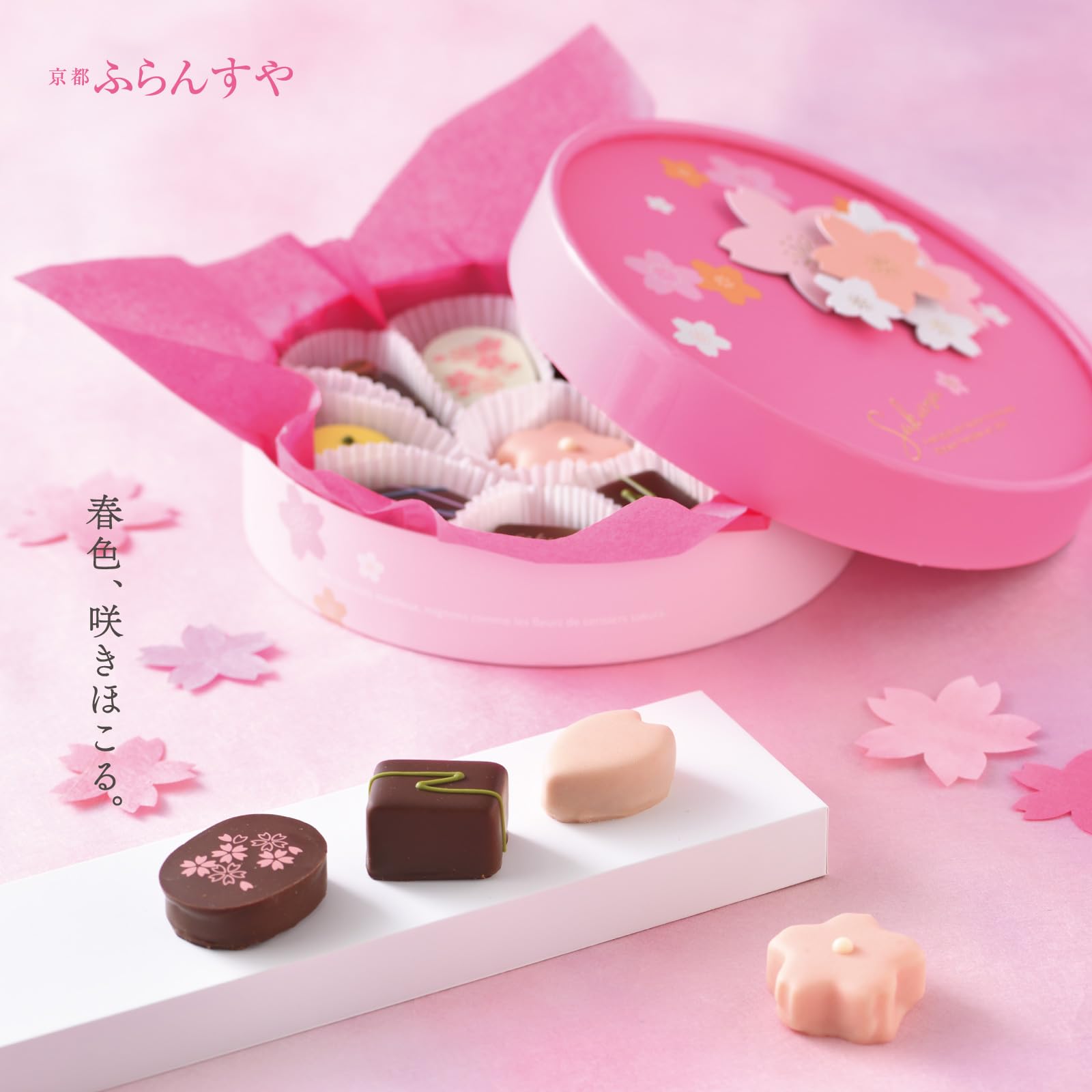 Amazon | フランス屋製菓 8307 結び桜｜ 京都 チョコレート 桜