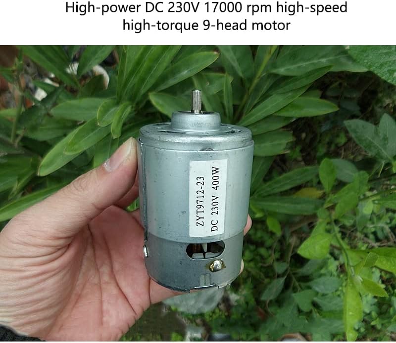 DC230V 17000 RPM 9712 Miniature Permanent Magnet DC Motor Mechanical Equipment / Power Tools / DIY Accessories