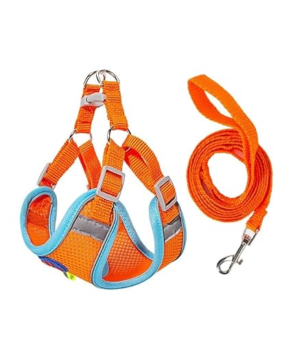 GIEOKDWO pn[lX h~ [ɒȂ] ȒPE P݌y NCbNvTCY ^^p s⏕p p IW Lƌ (XS)