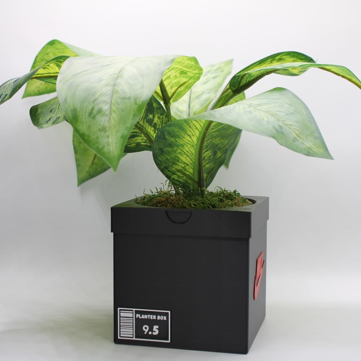 Sneakers Box Planter Pot 3D Printed - Sneakers Box Decor - Plant Pot for Indoor Plants - Unique Planter for Indoor with Drainage Hole - Made in USA