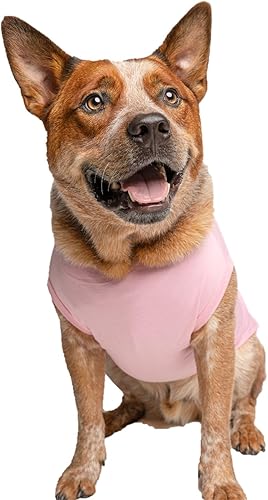 Miniatura 2 de Its A BoyIts A Girl Gender Reveal Pregnancy Announcement Dog Tee Shirt Sizes for Puppies Toys and Large Breeds Sold Separately